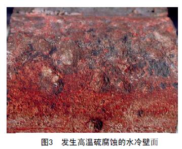 图三.jpg